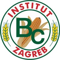 BC Institut Logo